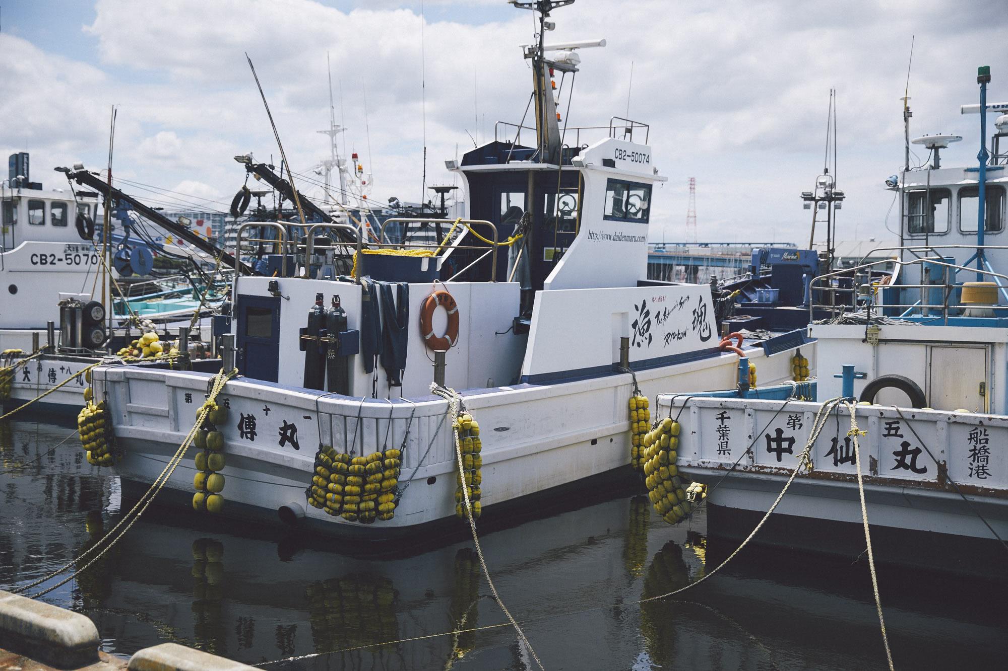 100年前から 資源管理をやってたよ 東京湾のスズキ漁師が受け継ぐ祖父の言葉 Gyoppy ギョッピー 海から 魚から ハッピーをつくるメディア Yahoo Japan