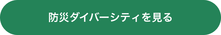 防災ダイバーシティを見る