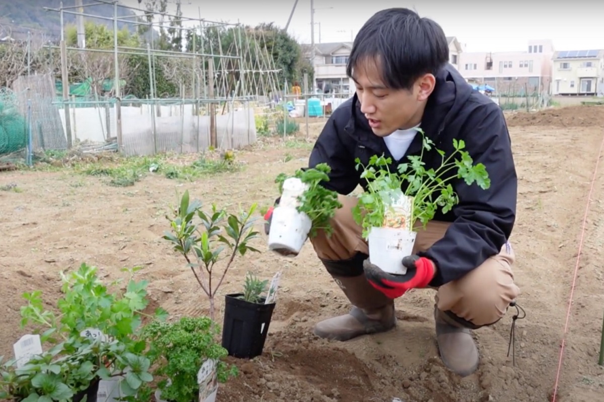 生物多様性を取り戻す。シネコカルチャーに学ぶ協生農法とは？【ウェルビーイング特集 #12 再生】