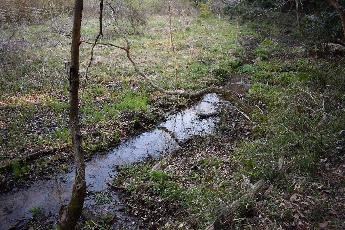 環境・気候非常事態宣言発令の真意とは？災害が多発する理由 NPO法人地球守代表理事・高田宏臣さん(上)