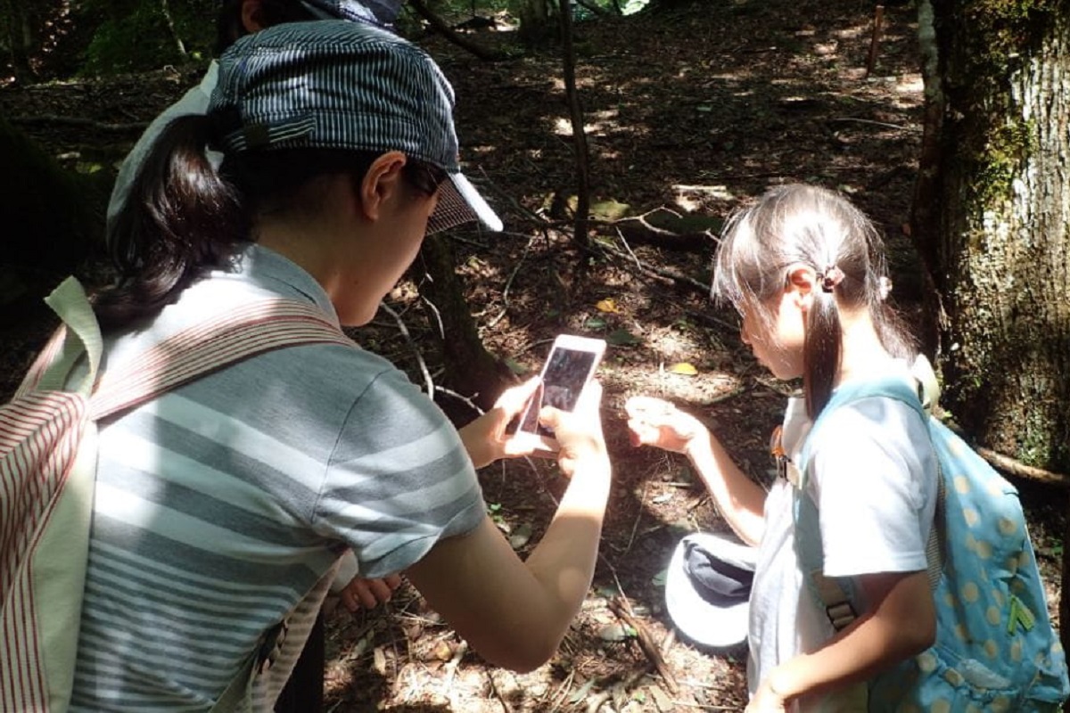 環境破壊の最前線から生まれた、生物多様性を守るアプリ。ビジネス活用の注目集まる！