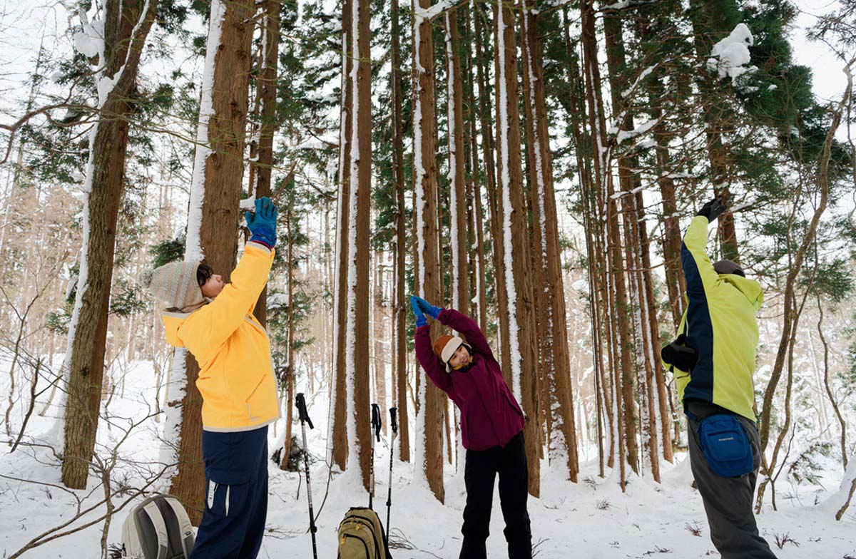 新鮮な空気を吸いながらのストレッチ