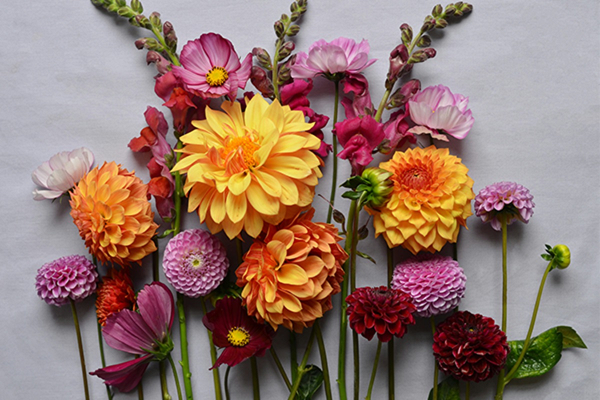 花