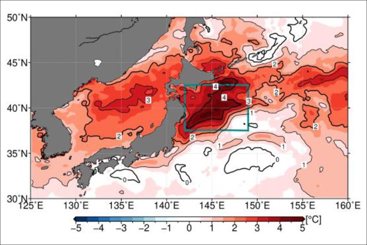 2023年夏(6~8月)平均の海面水温平年差。北日本周辺が赤くなり平年差が大きかったことがわかる(気象庁資料)