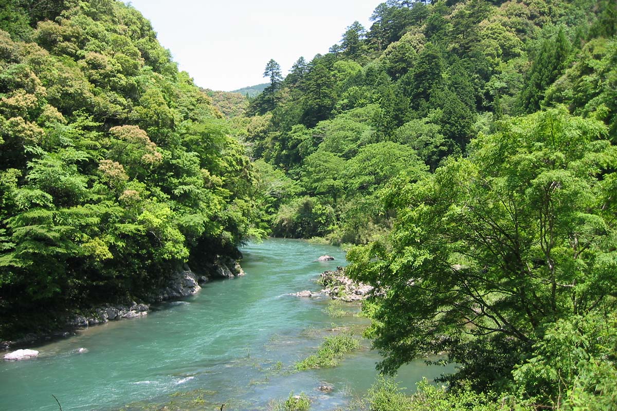 豪雨や台風による水害は増えたのか？水文学の専門家に聞く治水技術 田村隆雄准教授インタビュー