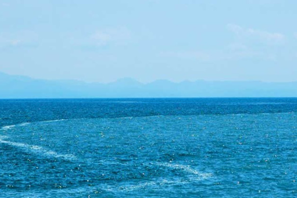海の寒流、暖流とは？　どんな魚がいる？