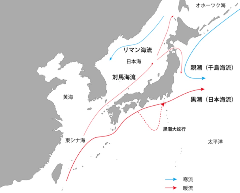 日本近海の海流