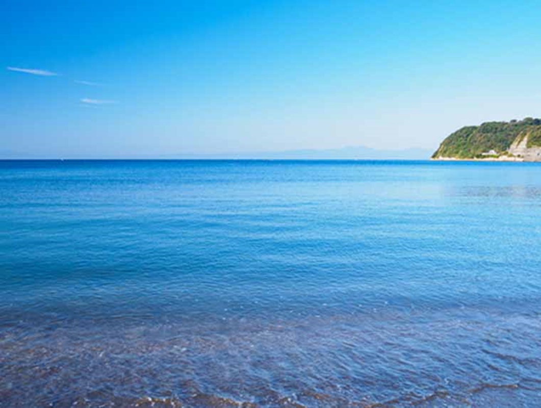 海