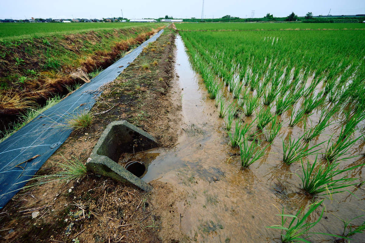 田んぼダムで豪雨による水害から町を守る、米どころ新潟県見附市の挑戦
