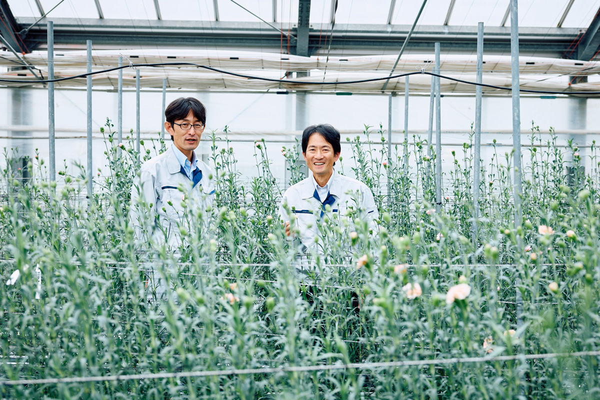 新品種の導入や栽培技術の研究で、暑さが作物に与える影響を減らし、持続可能な農業へ