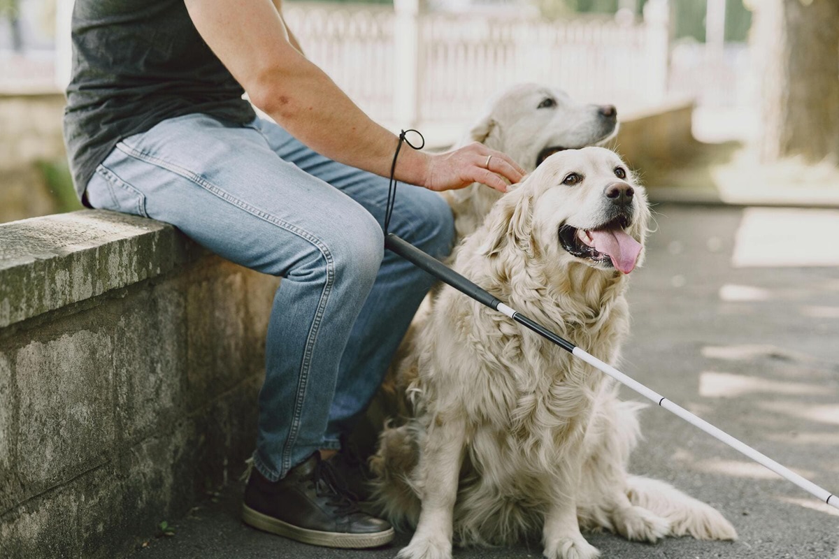 動物と生きる権利を全ての人に｜介助犬と共に多様性社会の実現へ