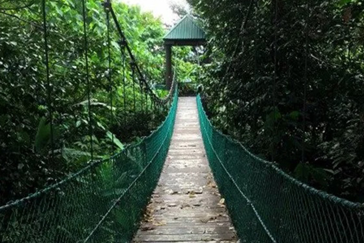 環境に配慮した旅人になろう！　エコツーリストになる10の方法