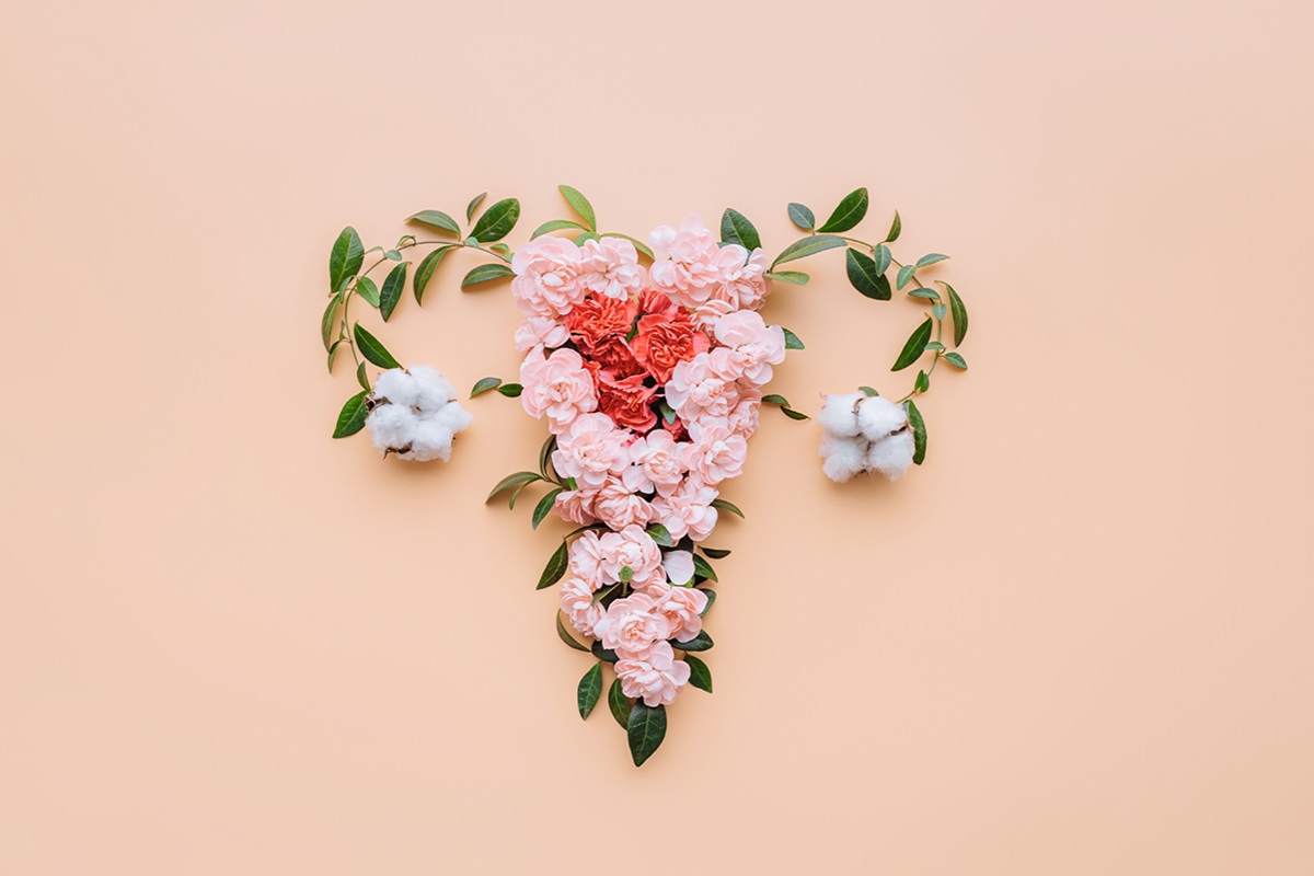 紹介リンクの画像