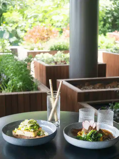 サステナブルなレストラン