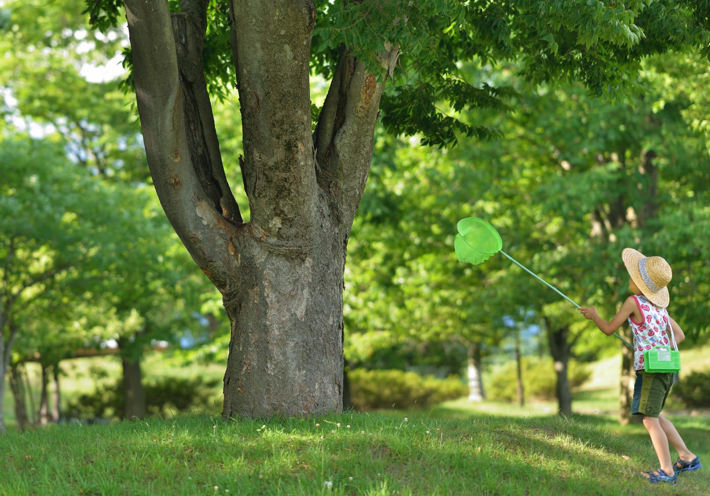 ''あの日のような夏''は、いつか来なくなってしまうのでしょうか。