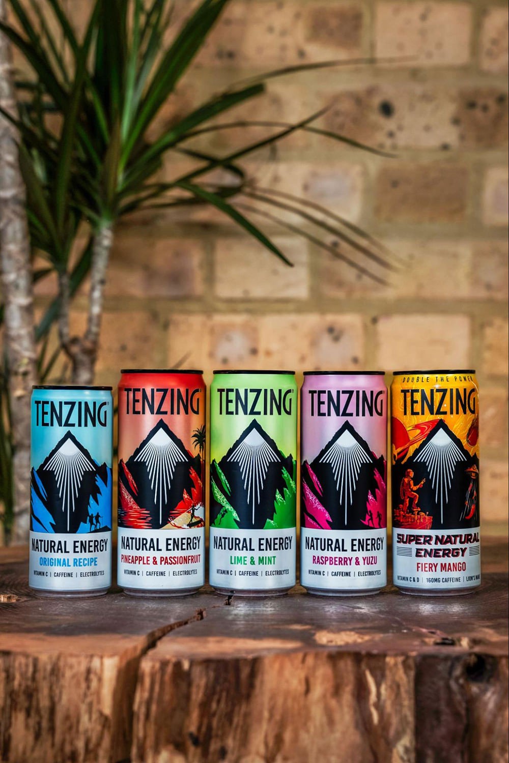 「TENZING。
写真提供：TENZING Natural Energy