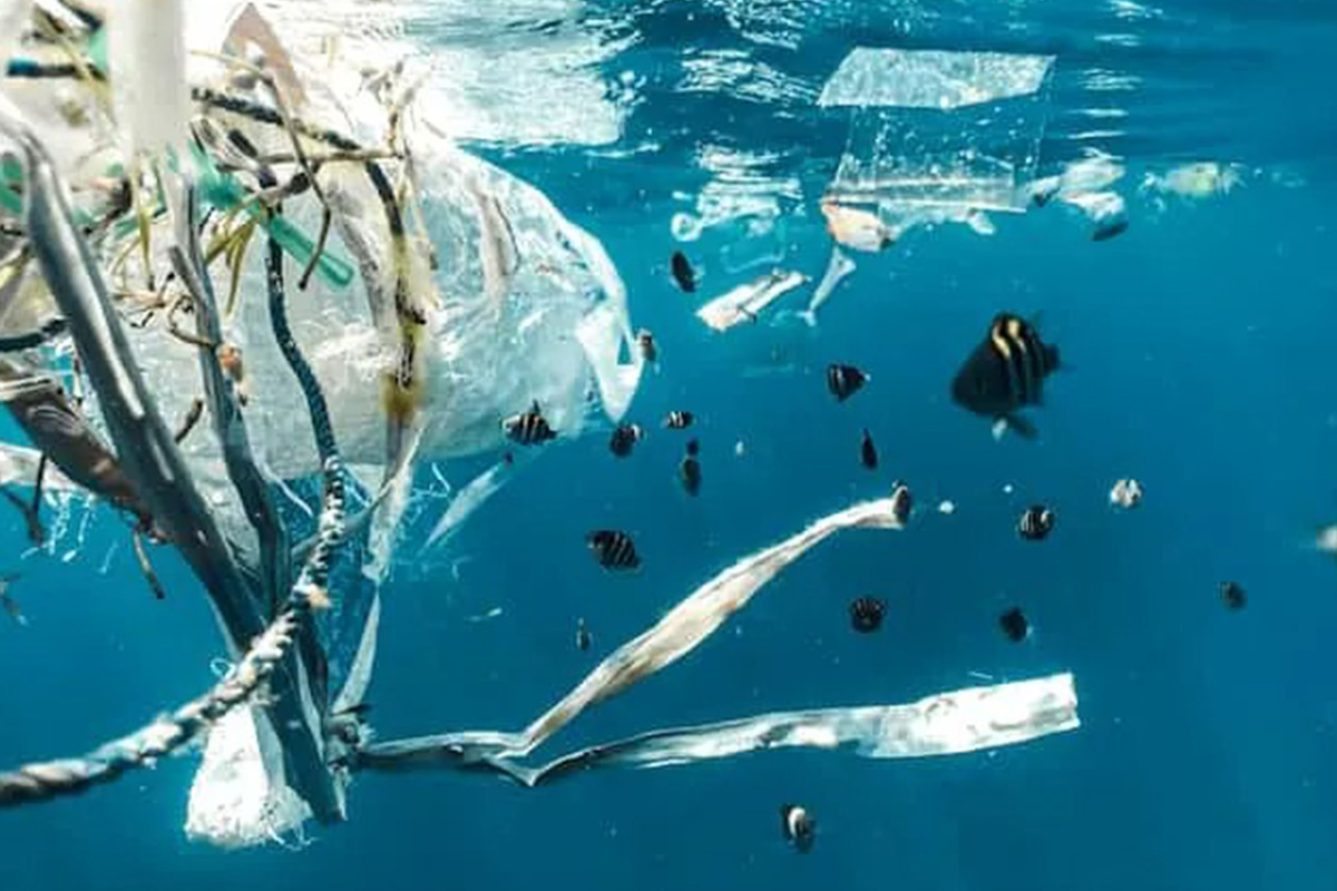 プラスチックだらけの海を何とかしたい！　海をきれいにする技術とその取り組み