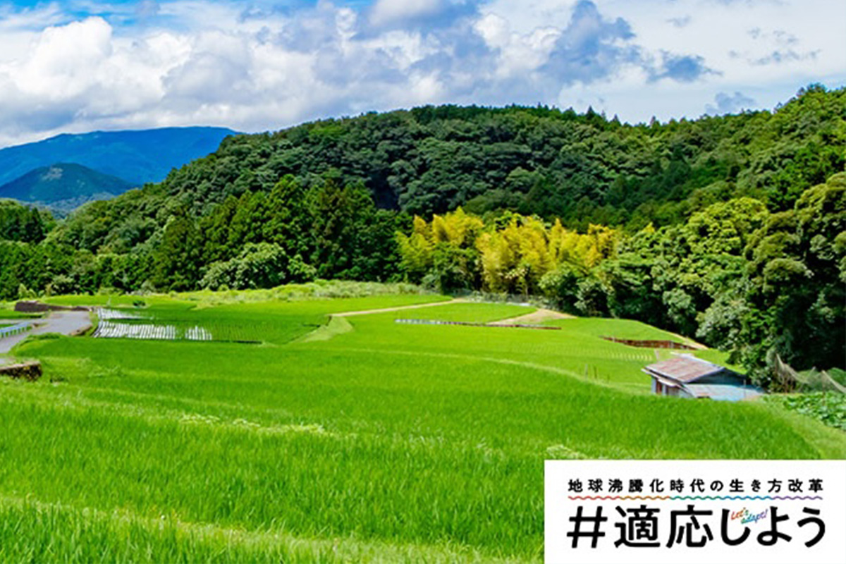 効率重視の街は、豪雨や猛暑に弱い？　自然の力を活かす「グリーンインフラ」という新しい選択