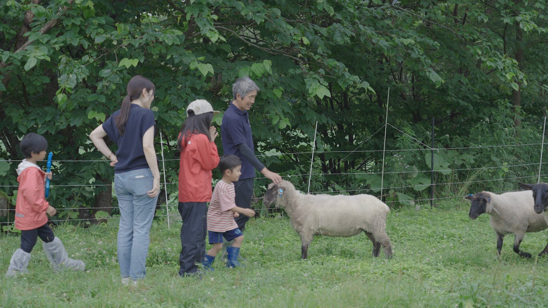 旧武田牧場で始まった「めぐさとファーム」には、多くの見学者が訪れる