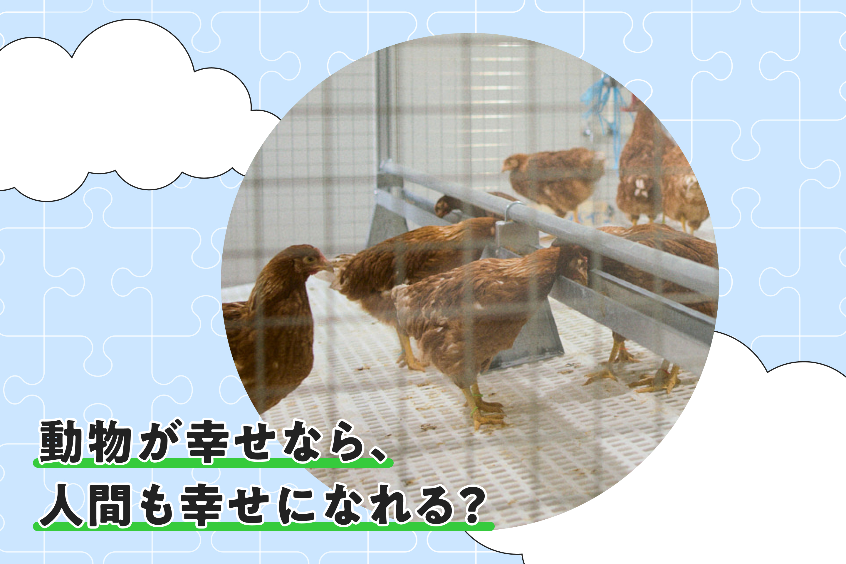 人も動物も環境も一体で考える。持続可能性を高める「ワンウェルフェア」とは