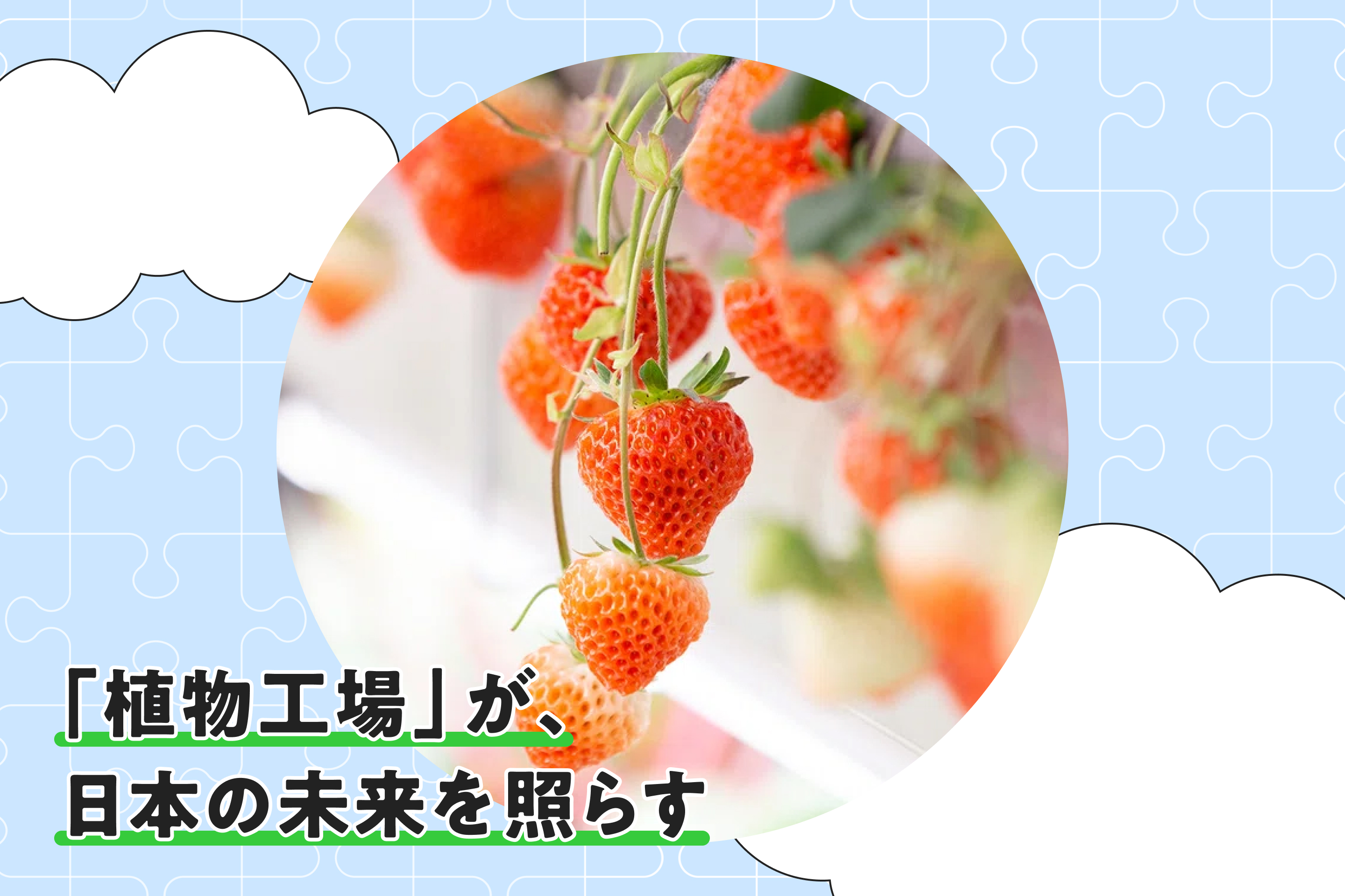「植物工場」から日本経済の夜が明ける。カギは「サイエンス」と「ものづくり」