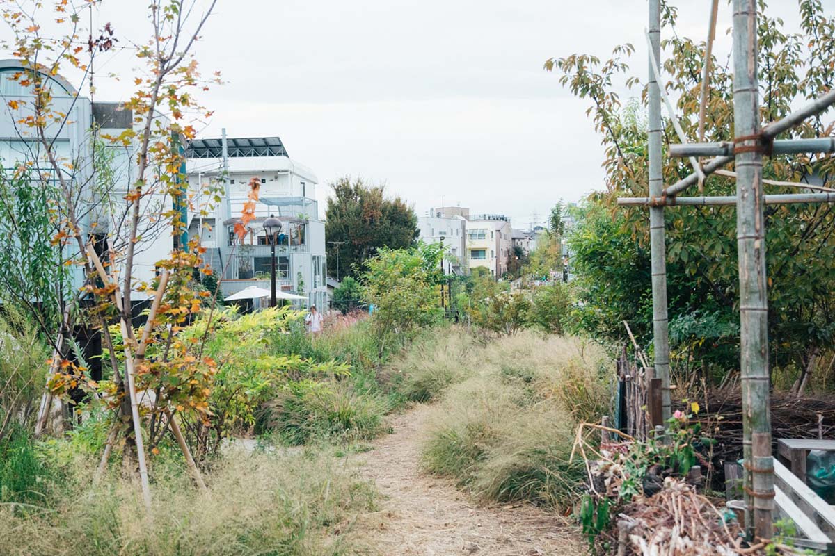 東京はもっと緑化に向き合える。シモキタ園藝部から考える、都市緑化の可能性