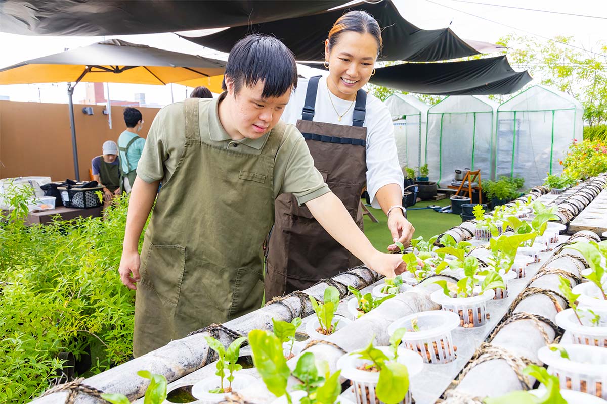 竹害に悩む地域から竹を譲り受けて活用