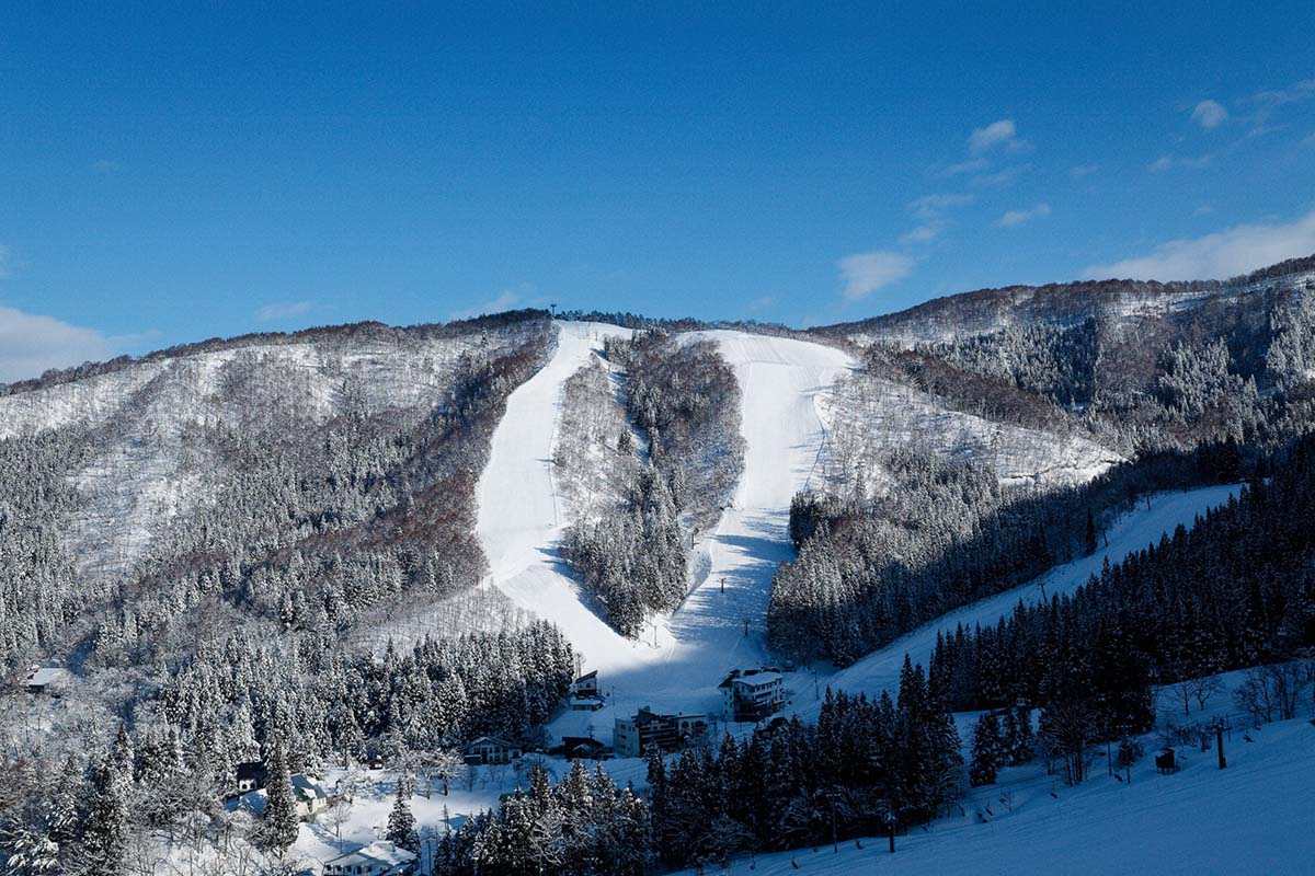 「雪がなくなったら、全員負け」？　雪国発、私たちの未来を守るアクション