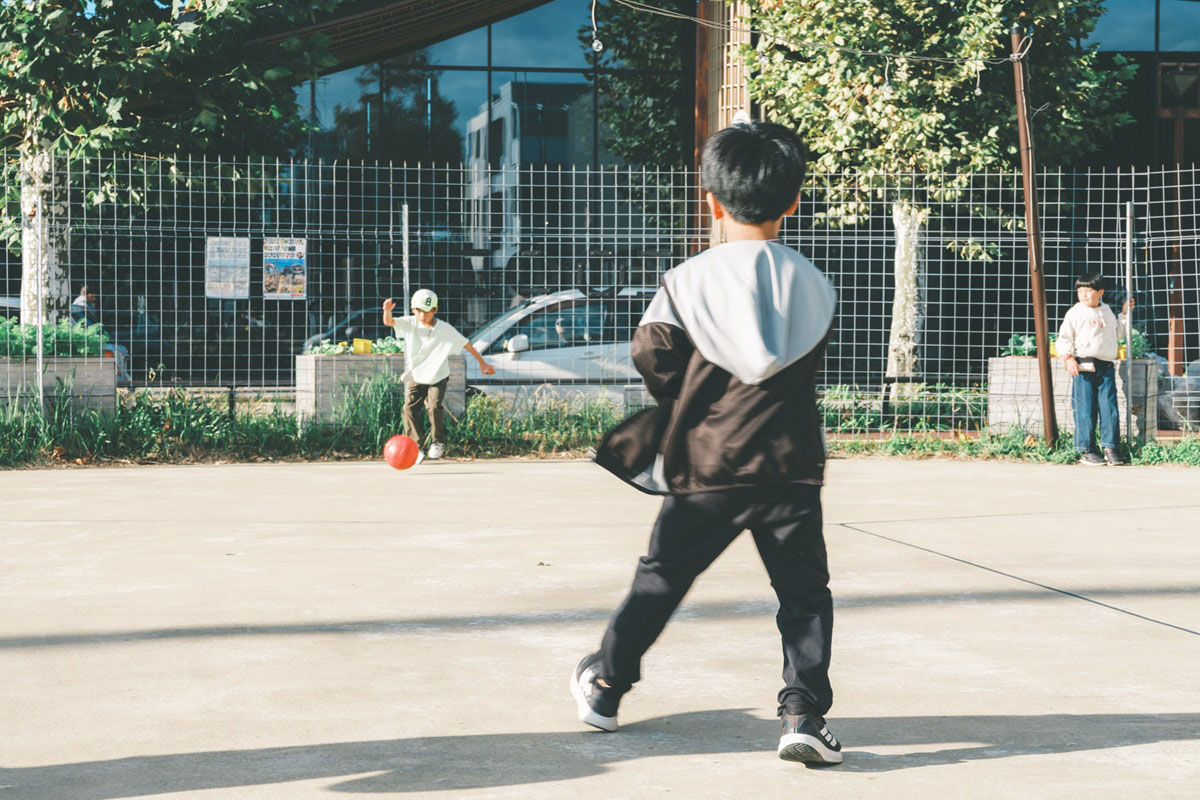 公園とは「運営」