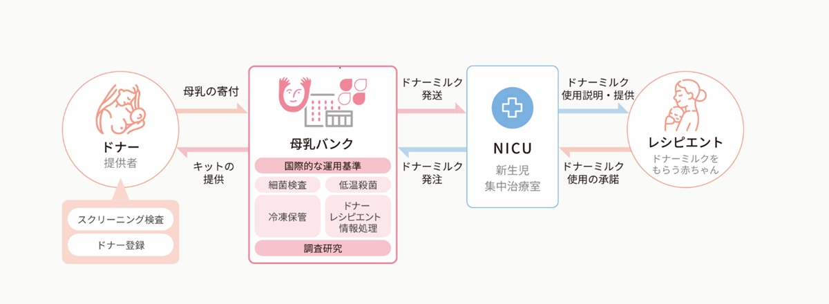 母乳バンクの仕組み