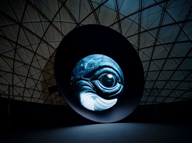 DOME B「海洋」