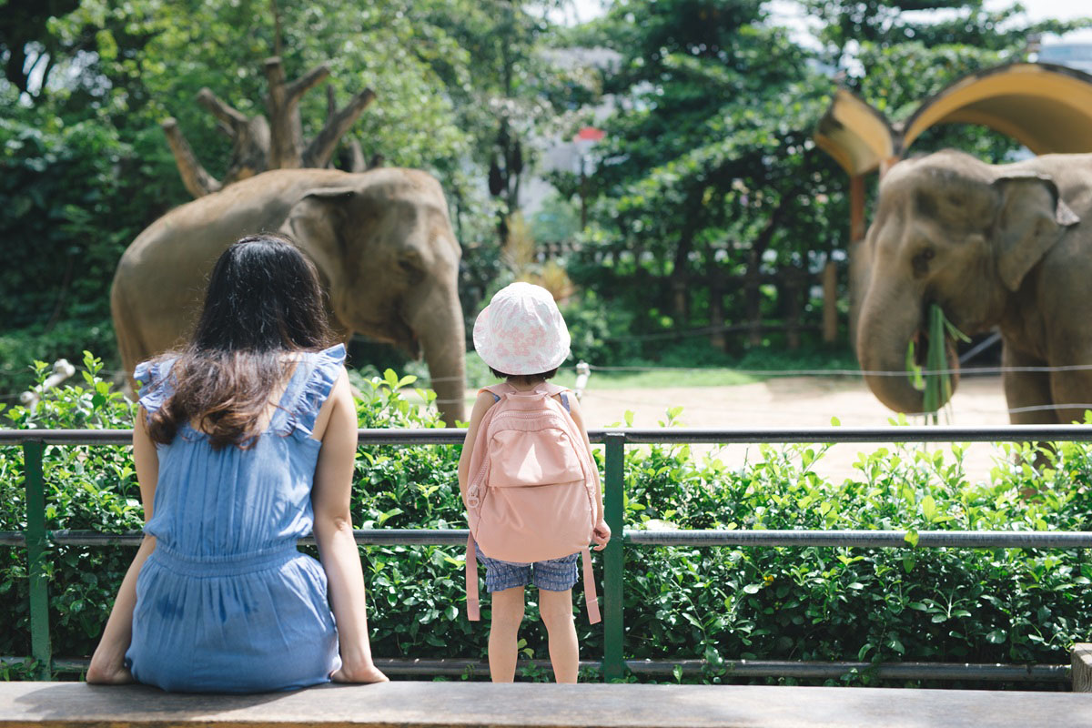 動物を見ている親子の写真