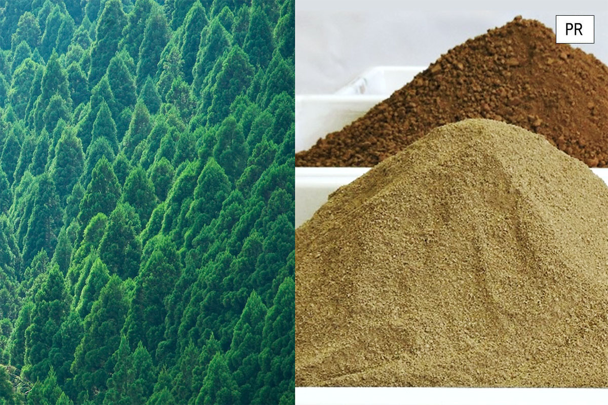 災害を防ぐ森づくりから「木製プラスチック」の開発まで。世界有数の''森林国''を守り続けてきた林野庁の取り組み