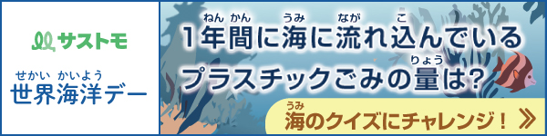 世界海洋デー　海のクイズにチャレンジしよう！