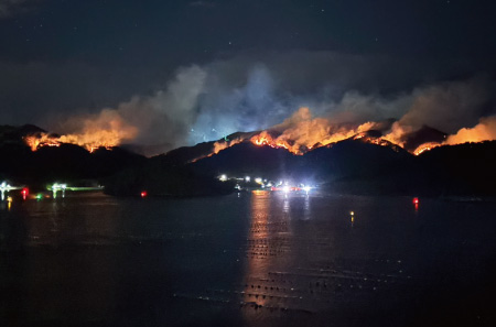 2025年に発生した大船渡市山林火災の写真