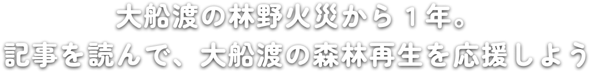 大船渡の山火事から１年。記事を読んで、大船渡の森林再生を応援しよう