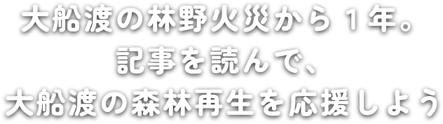 大船渡の山火事から１年。記事を読んで、大船渡の森林再生を応援しよう