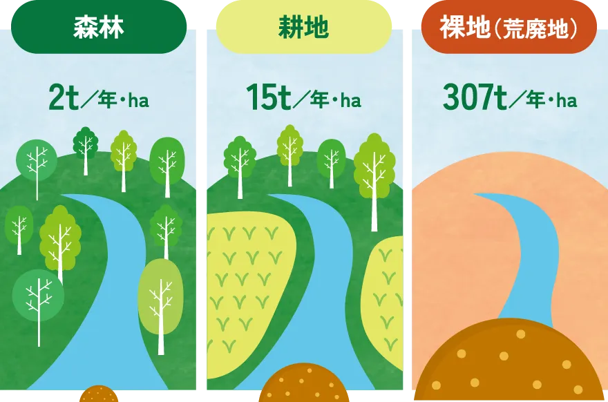 森林 2t／年・ha 耕地 15t／年・ha 裸地（荒廃地） 307t／年・ha