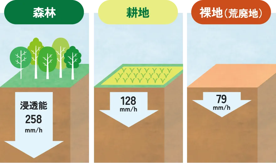 森林 浸透能258mm/h 耕地 浸透能128mm/h 裸地（荒廃地） 浸透能79mm/h