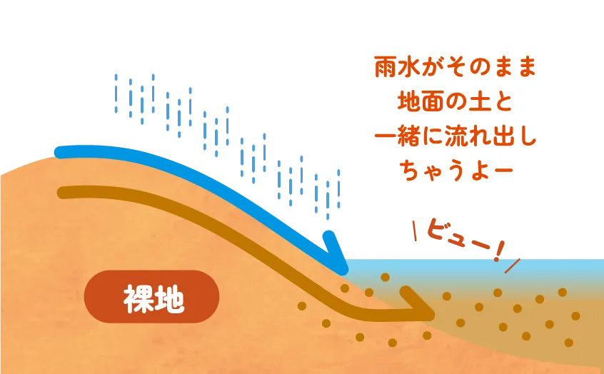 裸地 雨水がそのまま地面の土と一緒に流れ出しちゃうよー