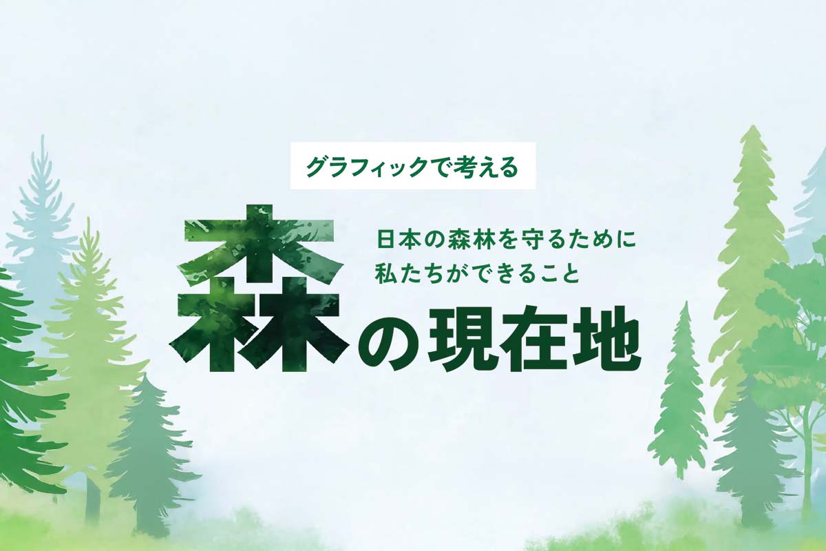 日本の森林を守るために私たちができること。「森の現在地」
