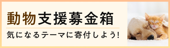 動物支援募金箱。気になるテーマに寄付しよう