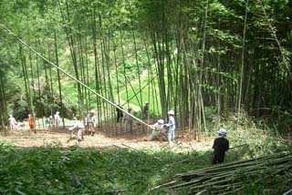 [明日香の歴史的景観をよみがえらせよう基金]の画像