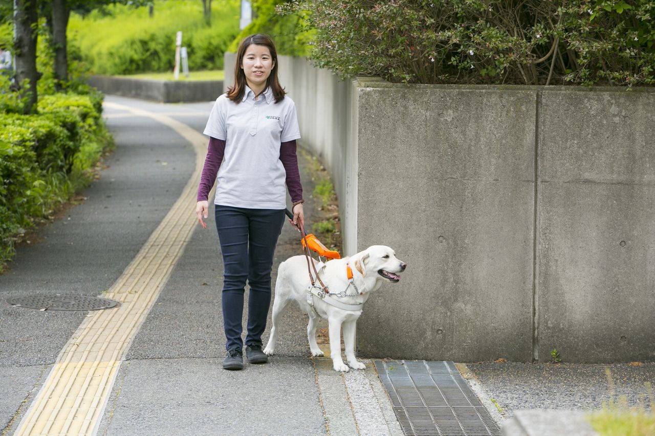 2人6脚 人と盲導犬が笑顔で歩く社会へ 公益財団法人日本盲導犬協会 Yahoo ネット募金