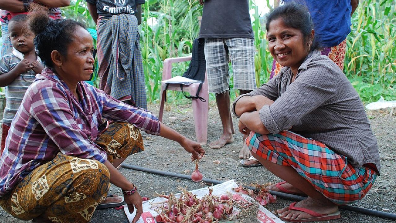 国際ngo Care 東ティモールの人々に農業を通じた支援を Yahoo ネット募金