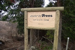 more treesの森 in 熊本県