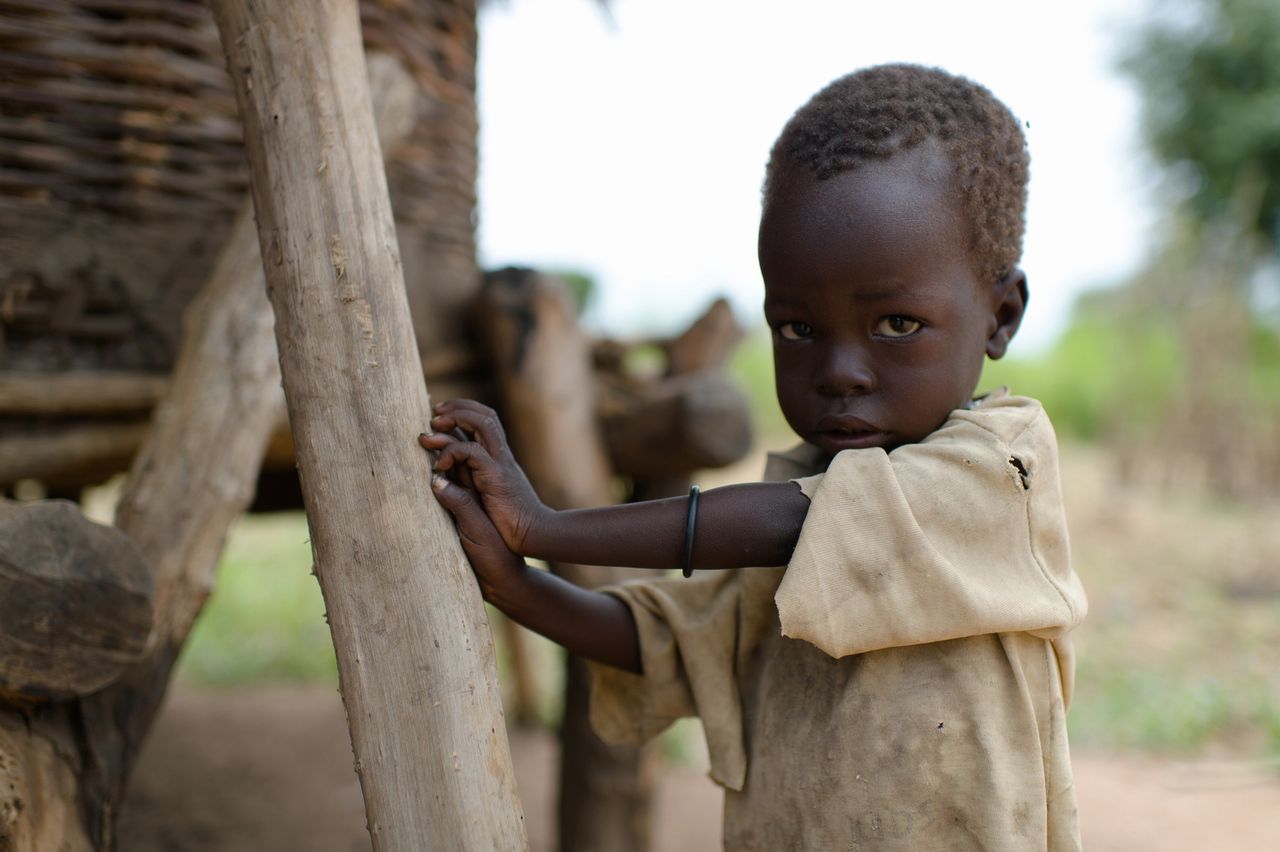 [迫り来る飢餓に対して食料支援を アフリカ食料危機緊急支援]の画像