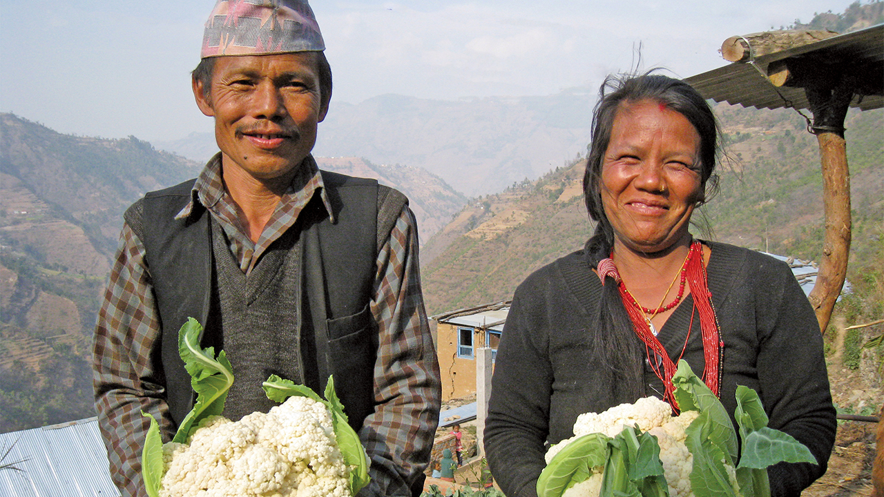 [ネパール中部地震被災者の1日も早い生活再建をご支援ください]の画像