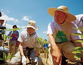 宮城県岩沼市でボランティアで参加した4500名の方と 30,000本の苗木を植樹