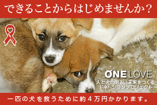 [犬の殺処分をなくすために。できることからはじめよう　ONE LOVE]の画像